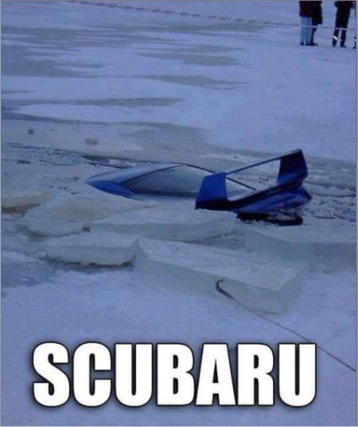 Have a laugh - Page 858 - Clubhouse Topics - Ford Owners Club - Ford Forums